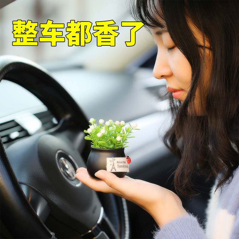 极速车载绿植小盆栽 车内花草 植物净化空气汽车摆件盆景中控台创