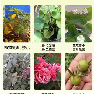 [国光高纯度磷酸二氢钾肥料催花促花壮根促苗养花送量勺通用肥]
