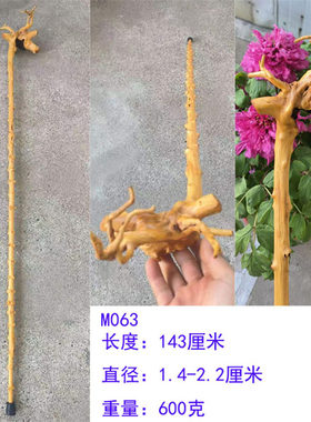 极速云南对节木一体天然禅杖老人拐杖登山助行杖电影道具根雕文玩