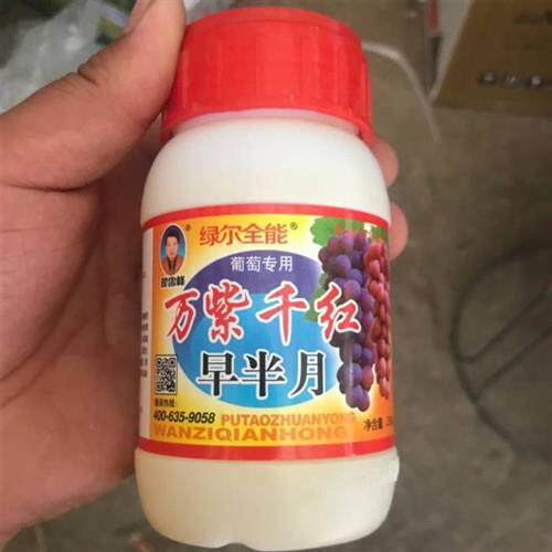 极速万紫千红早半月葡萄专用催红剂增霜增腊减少病害预防裂果改善