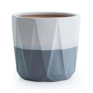 种玫瑰花的花盆金钱树花盆专用高档家庭滴水观音时尚简约家用