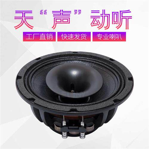 8寸同轴喇叭全频一体钕磁钕铁硼专业同轴高音36芯低音50芯返听用