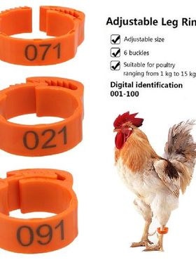 100Pcsset Color Randomly Buckle Ring Foot Ring Leg Digital