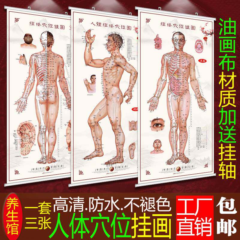 极速中医图解背部人体经络穴位图大挂图养生馆宣传画针灸推拿海报