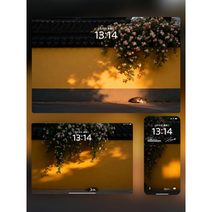 太美啦iPhone手机iPad平板电脑 小花墙 8张 治愈系壁纸｜光影下