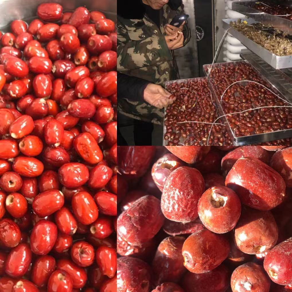 去核红枣真空冻干机 莲子心冻干机 西柚真空冻干机 价格 厂家