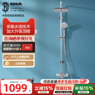 挂墙式 科勒淋浴花洒套装 淋浴花洒浴室淋浴柱77365 政府补贴15%