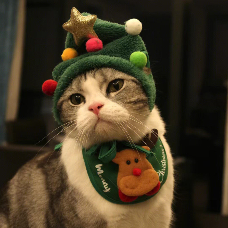 猫咪圣诞节帽子装扮口水巾围巾宠物新年狗狗可爱过年衣服项圈围脖