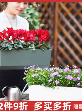 速发窗台台菱形长方形种花种菜储水盆盆厚塑料加吸水花自室内