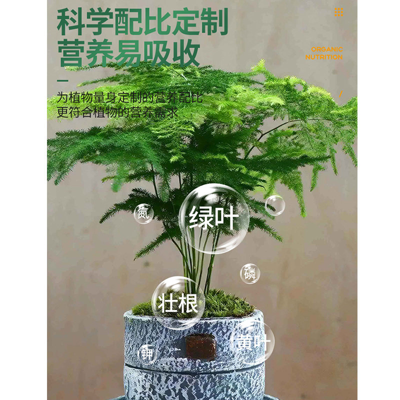 速发文竹专用营养液花肥水培植物通用转运竹治黄叶家用盆栽通用肥