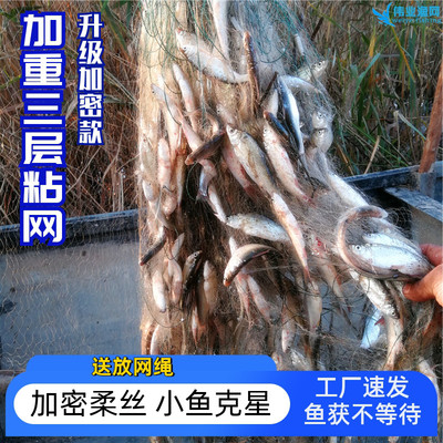 速发粘小三层沉网浮网加重捕丝网小外套一专网白条指用网
