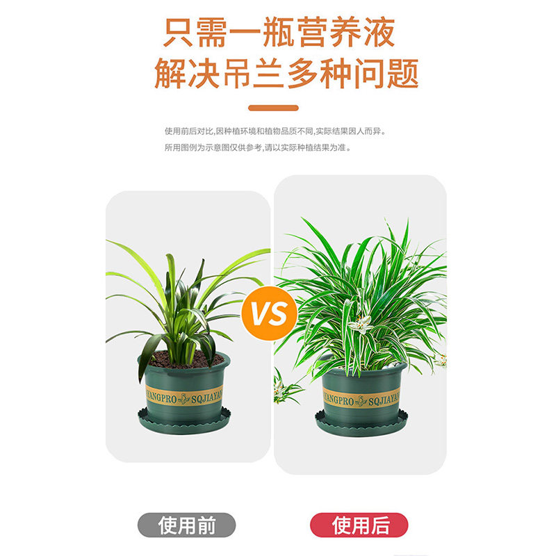 速发免稀释吊兰肥料专用营养液金边吊兰家用水土培盆栽植物养花通