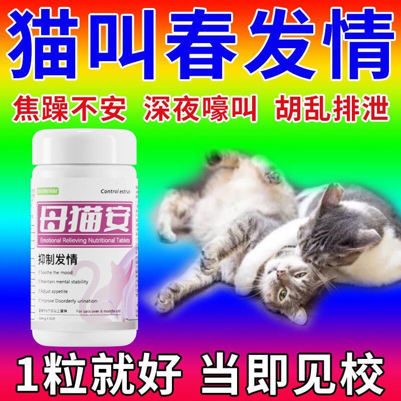 速发猫的发情抑制药母猫抑情片公液非药绝育禁情猫抑制猫发情咪药