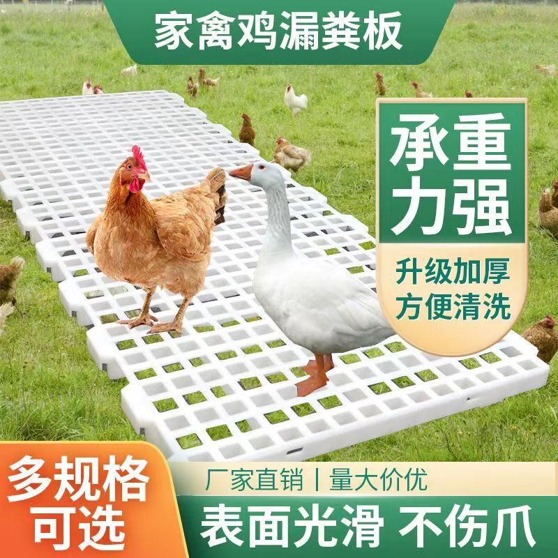 速发鸡用漏设板兔料养殖粪备养鸡场加厚鸡鸭鹅鸽子塑子地板网格