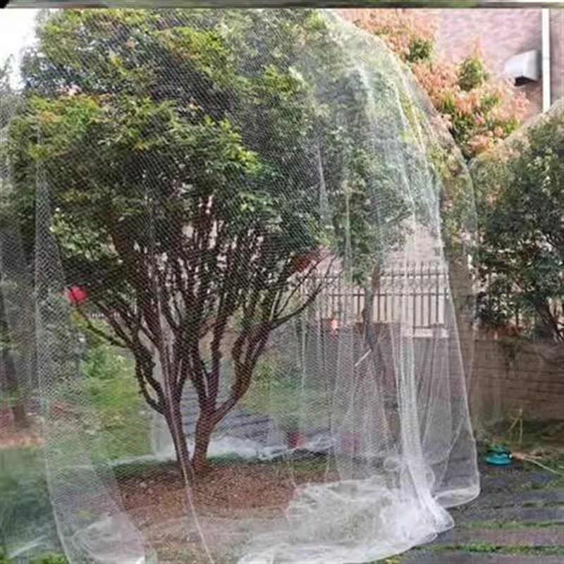 速发大树葡樱桃树防鸟网天网果棚防鸟用网尼龙萄桃网网套袋网纱网