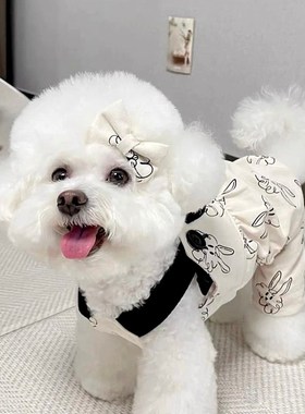 速发夏美薄款迪带裤泰背比熊博季贵宾约克夏衣服小型犬四脚裤