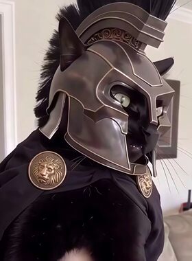 阿伽门农头盔摆件奥德赛猫咪帽子
