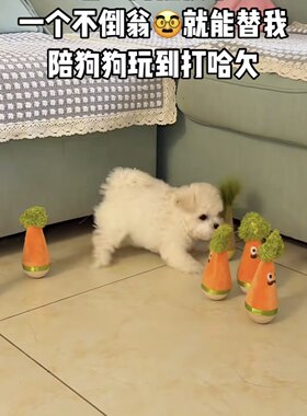 狗狗不倒翁玩具宠物猫咪摇摇乐
