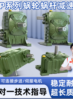 WPA WPS WPO WPX50 60 70 80 100 120铁壳蜗轮蜗杆减速机减速器箱