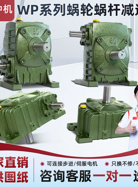 WPA WPS WPO WPX50 60 70 80 100 120铁壳蜗轮蜗杆减速机减速器箱