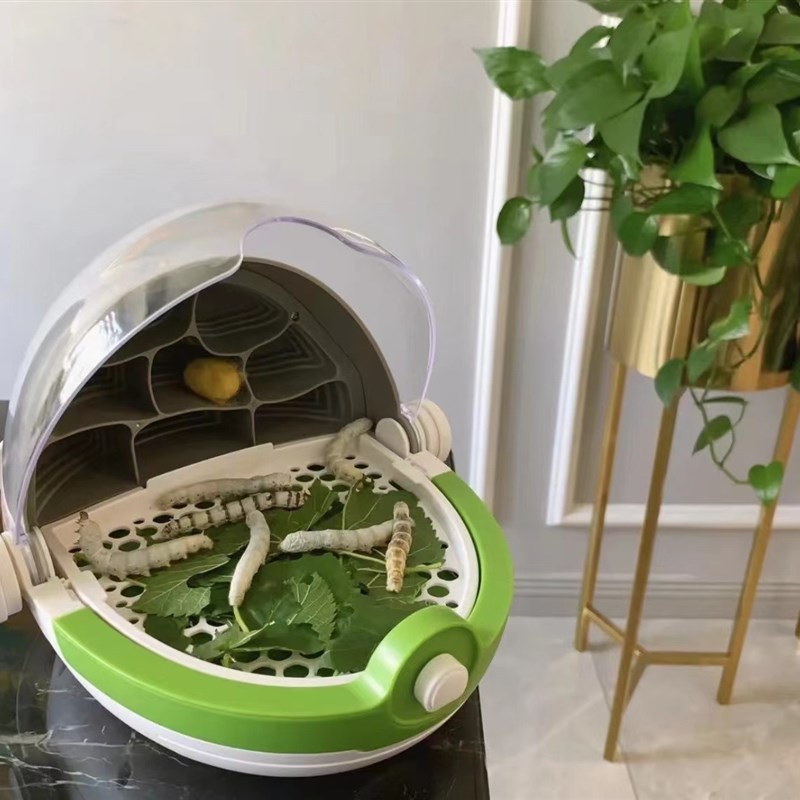 蚕宝宝养育仓太空培育蚕宝宝活物别墅饲养箱学生养蚕套装新鲜桑叶