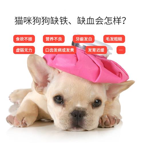 极速厂家马尔济斯宠物幼犬用补充铁剂产后术后补血肝精冲剂狗狗吃