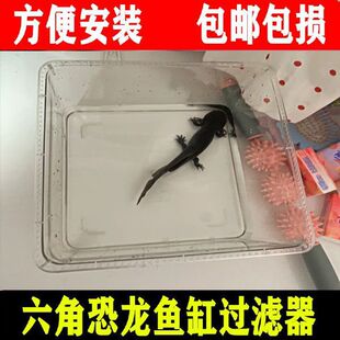 六角恐龙专用鱼缸蝾螈宠物饲养盒子带盖子压克力美西生态低水位过