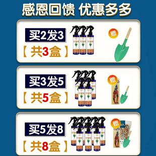 百合竹肥料叶发黄枯尖掉叶烂根锈斑病绿植专用免稀释一喷绿营养液