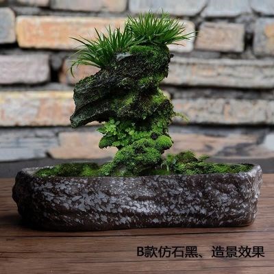 极速厂家大号微景观拼盘陶瓷多肉花盆铜钱草碗莲盆养仿石鱼缸水培