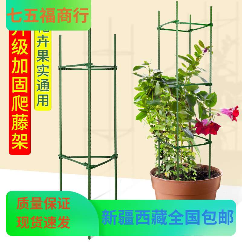 好货新疆西藏包邮花架爬藤架子葡萄架支架杆蔬菜植物月季葡萄黄瓜