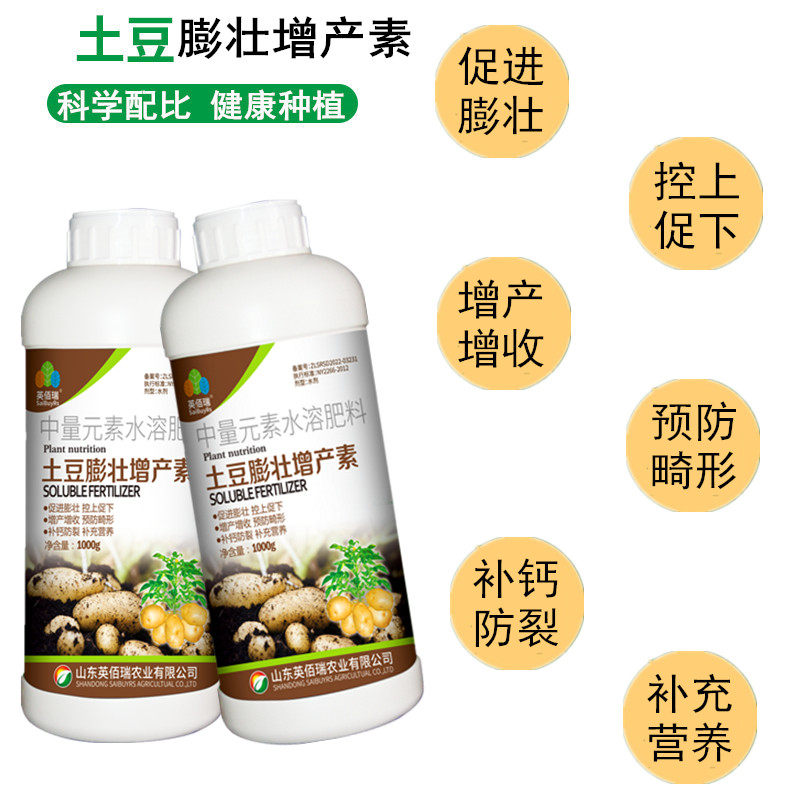 极速土豆膨大剂叶面肥控旺膨大素马铃薯防裂抗病害增产块茎生长营