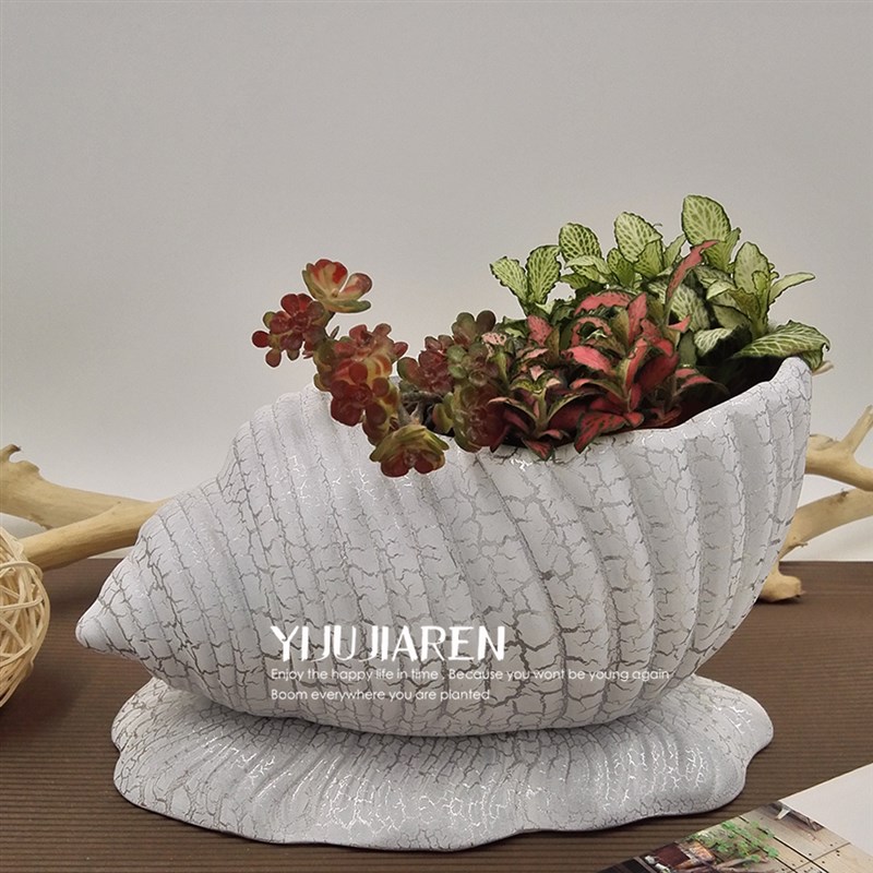 创意裂纹海螺小象陶瓷花盆带托盘园林工艺特色多肉发财树花盆有孔