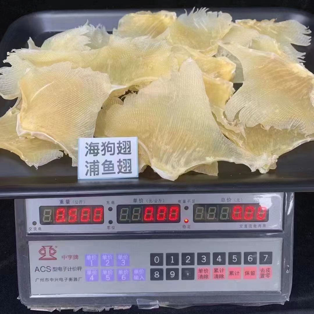 广东海狗翅浦鱼翅浦软骨干翅干无盐正宗无骨煲汤海鲜干货