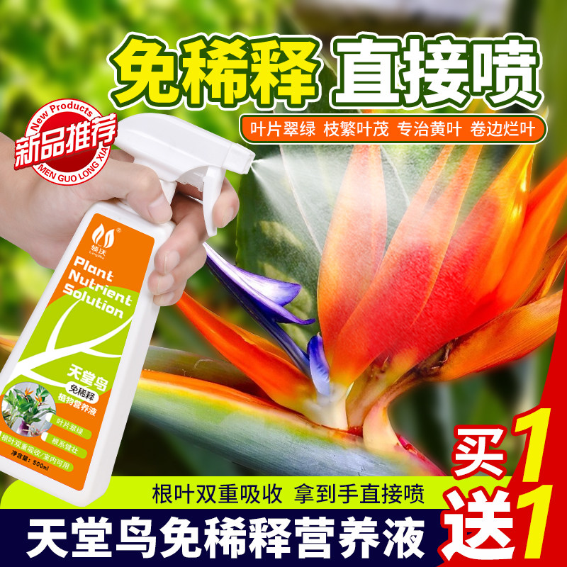 速发鸟营养液专用免稀释养植水通肥料治黄叶卷边植物绿花盆栽培用