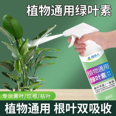 速发免稀释料喷绿花园黄叶变绿氨基酸叶面肥营养液肥艺肥一植物肥