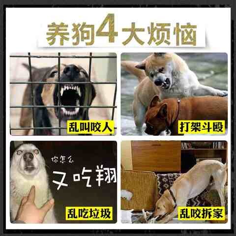 极速黑色小号狗狗嘴套小型精致泰迪简单嘴罩简易S幼犬贵宾美观牢