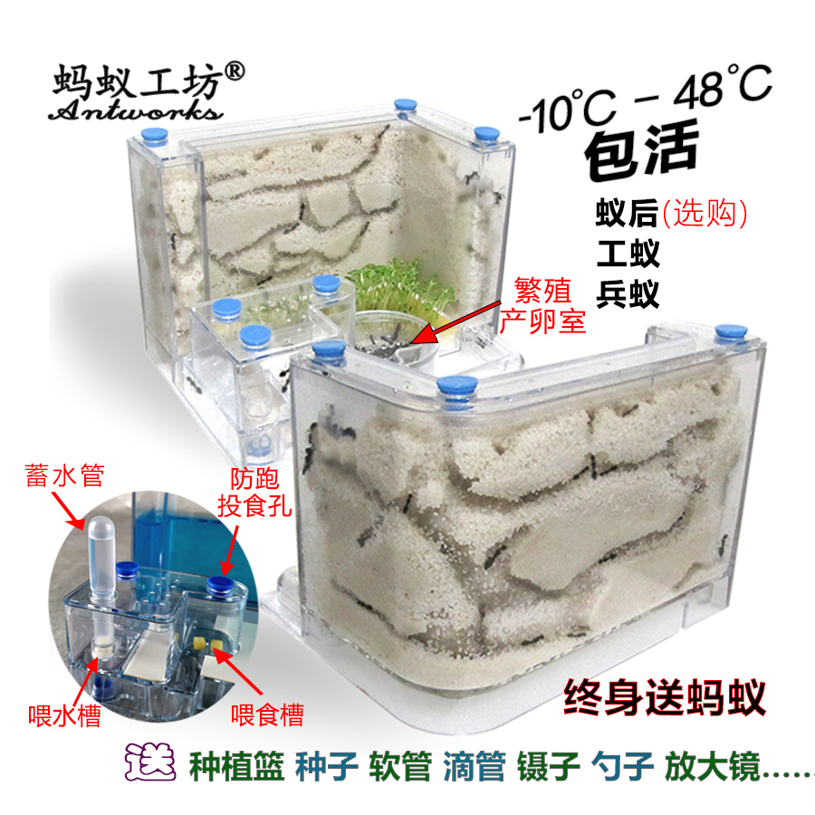 蚂蚁工坊宠物蚁窝平面3D城堡家园别墅活体生态繁殖专用巢HOT