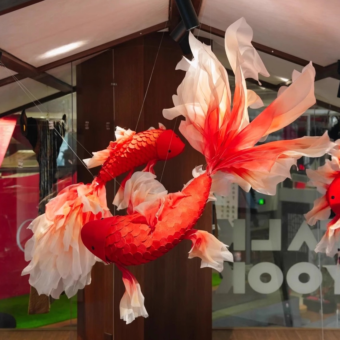 这对锦鲤才是今年的重头戏