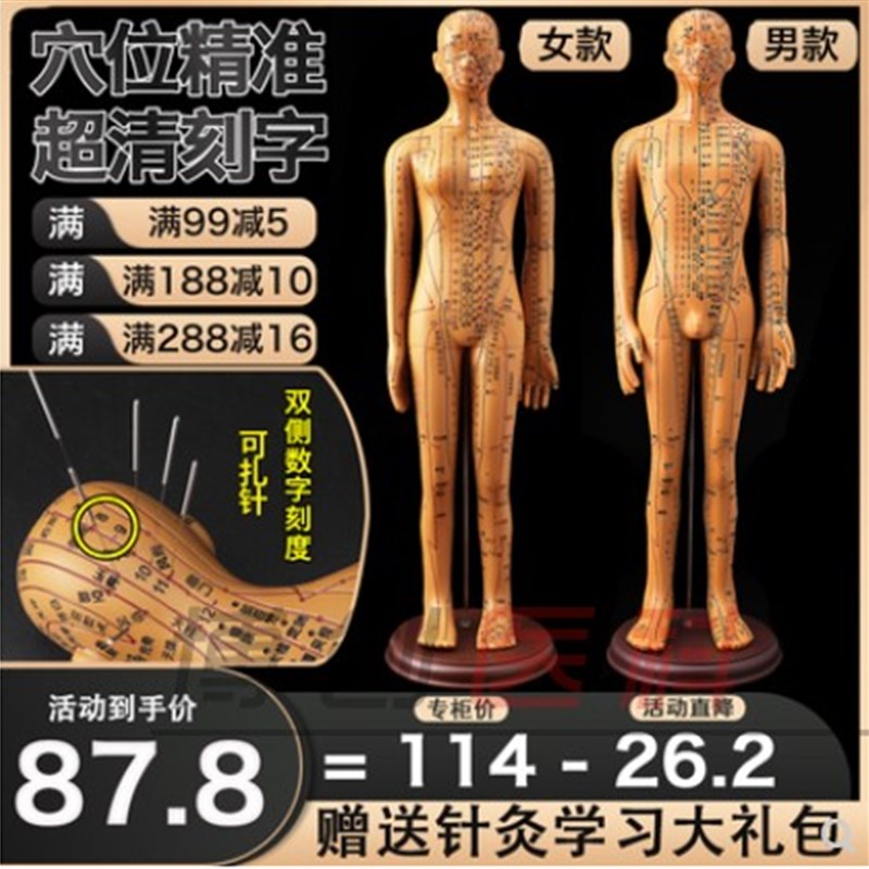极速人体针灸模型人经络穴v位中医全身十二铜人模特图可扎针练习