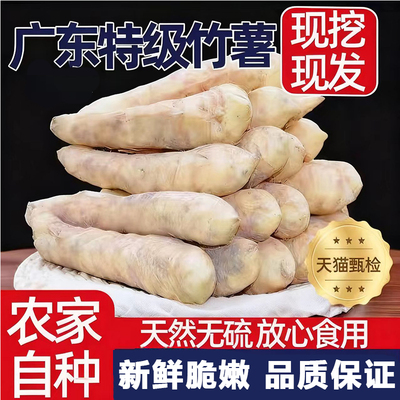 【现挖先发】无硫熏新鲜竹薯