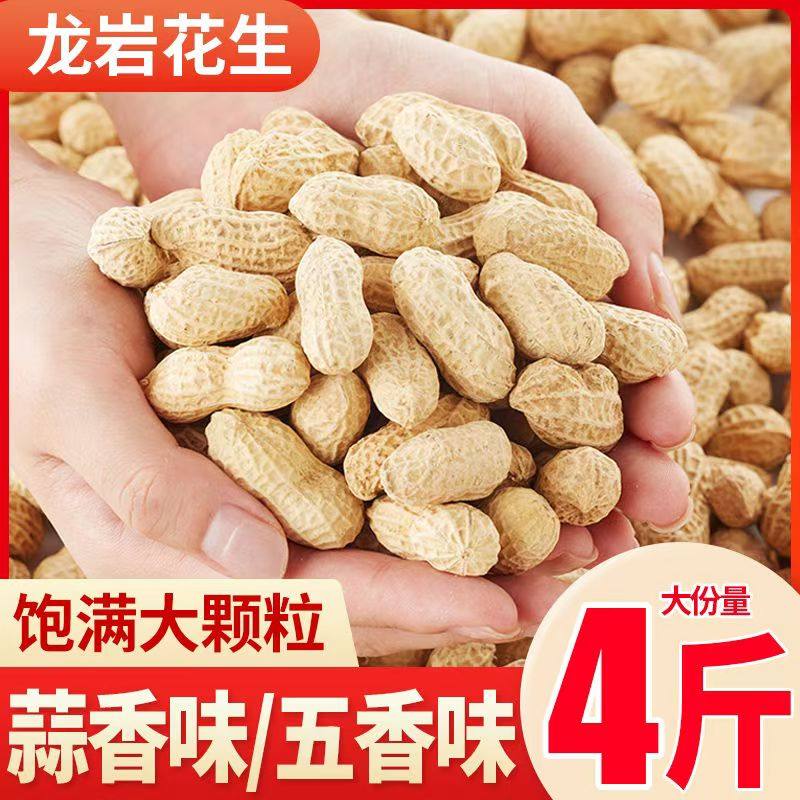 龙岩花生蒜香五香多味白晒水煮花生米带壳炒货解馋小零食旗舰店,零食/坚果/特产,花生,淘宝优惠券,粉丝福利购,淘宝优惠卷