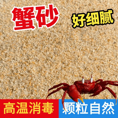 沙蟹专用沙天然海沙相守蟹螃蟹甲鱼乌龟冬眠孵化沙饲养箱沙子底沙