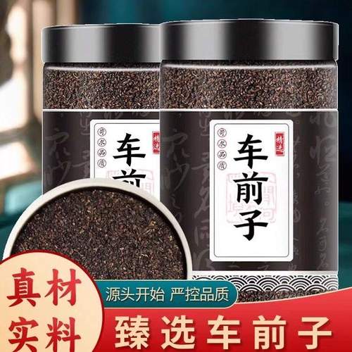 道地车前子新货自然晾晒精