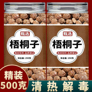 梧桐子中药材500g梧桐树籽正品旗舰店新鲜干货野生泡水喝梧桐果