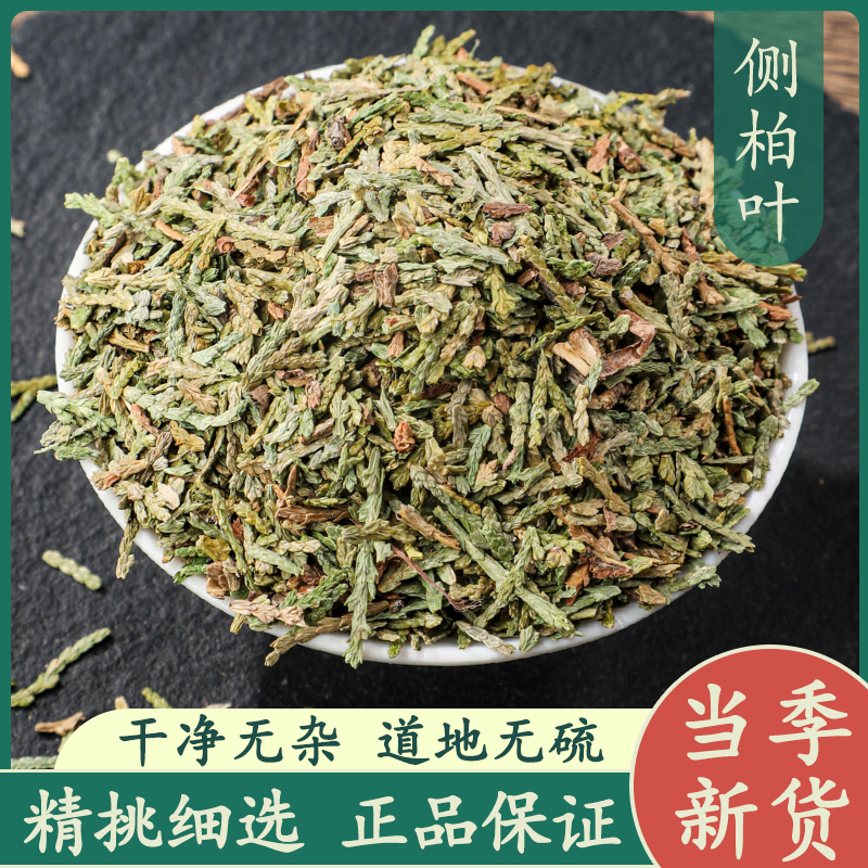 侧柏叶500g中药材正品新鲜