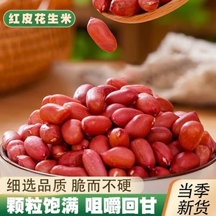 紅皮花生2024年新貨生四粒花米云南農家去帶殼曬干新鮮9.9嘗鮮仁