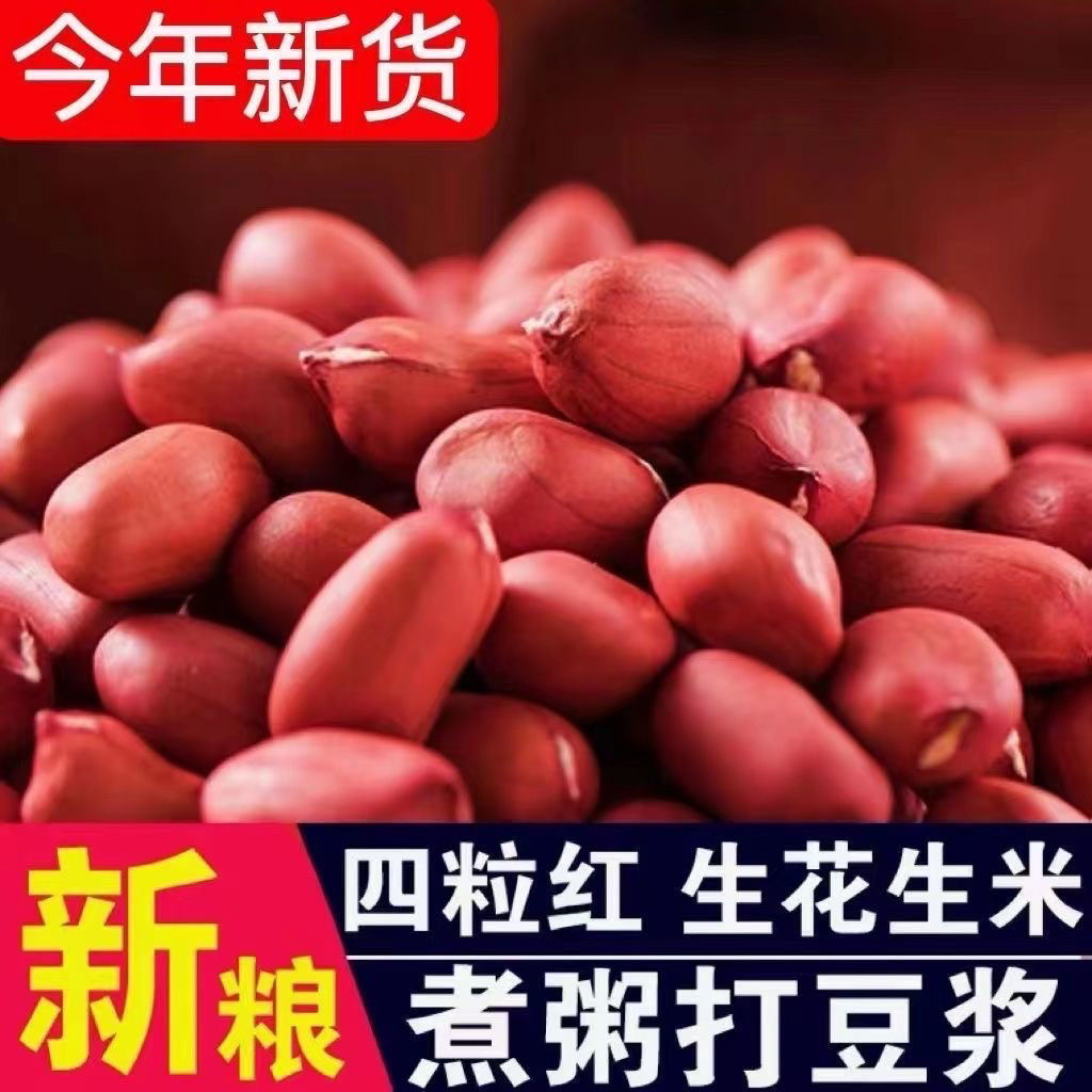 东北红皮花生米生2024新四粒红
