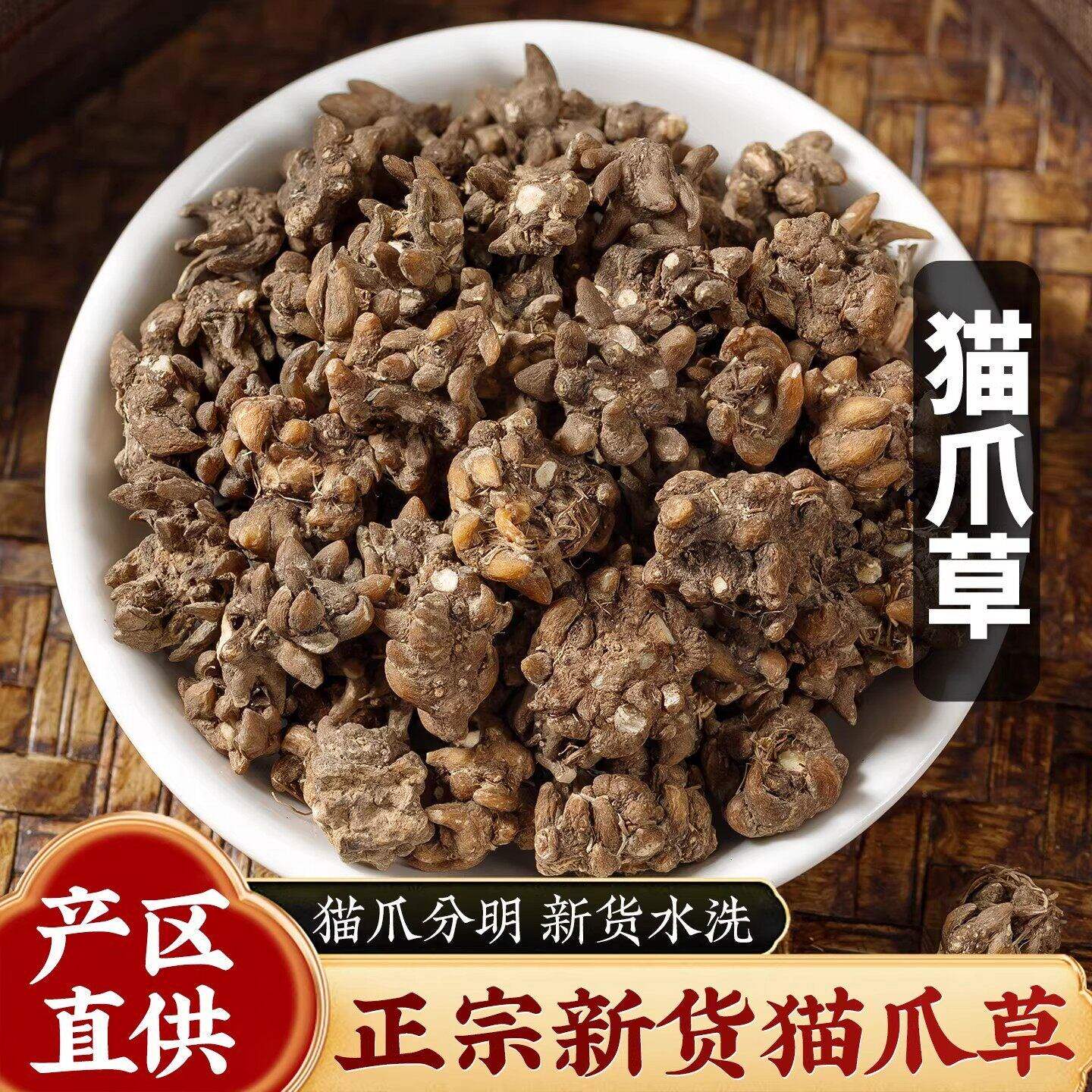 野生猫爪草500g无硫正品水洗猫爪草猫抓草旗舰店正品新鲜干货煲汤