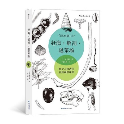 赶海·解剖·逛菜场 盛口满自然观察随笔集手绘插图 张小蜂译 生物博物学野外调查科学教育书籍海峡书局出版社