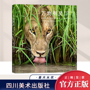 不容错过 视觉冲击 自然摄影 展示地球生命脉动 社 万物有灵：国际野生生物摄影年赛第54届获奖作品 四川美术出版 震撼眼球